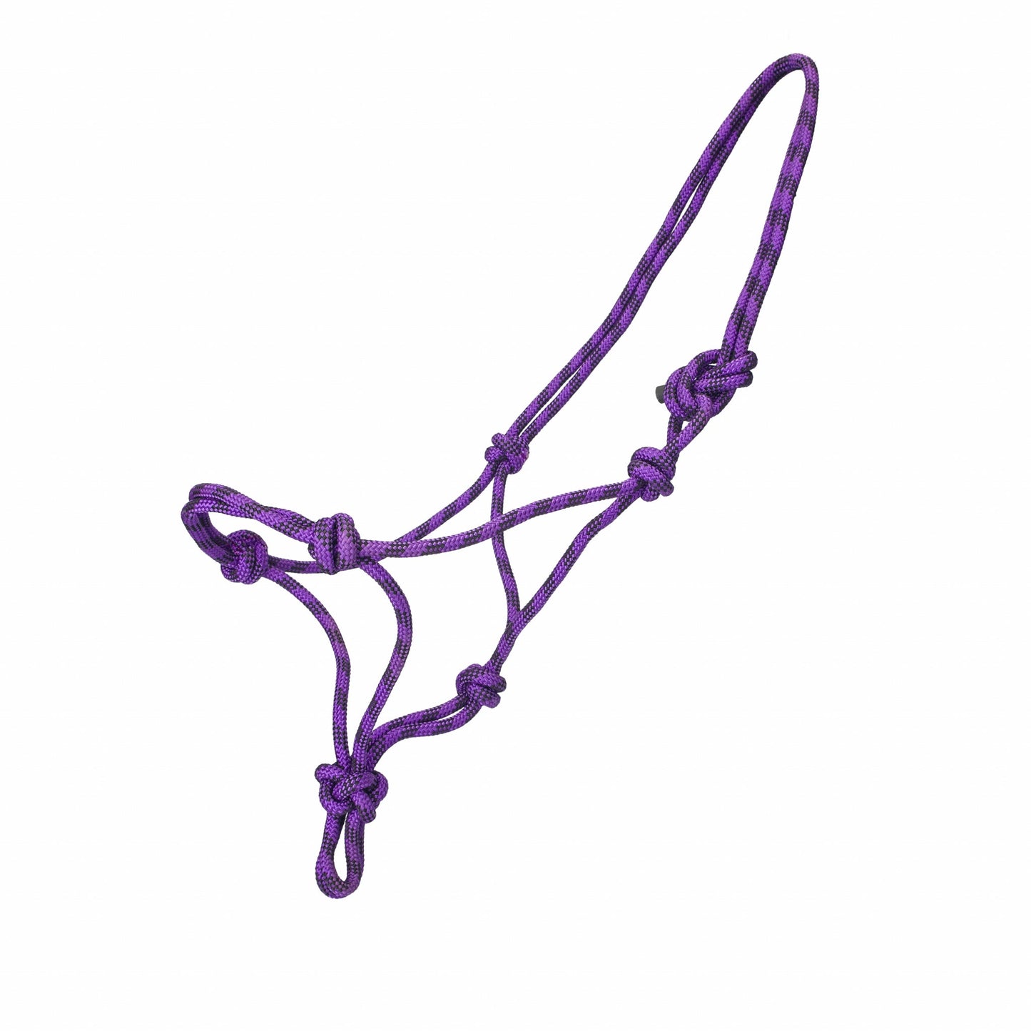 GATSBY Polypropylene Rope Halter