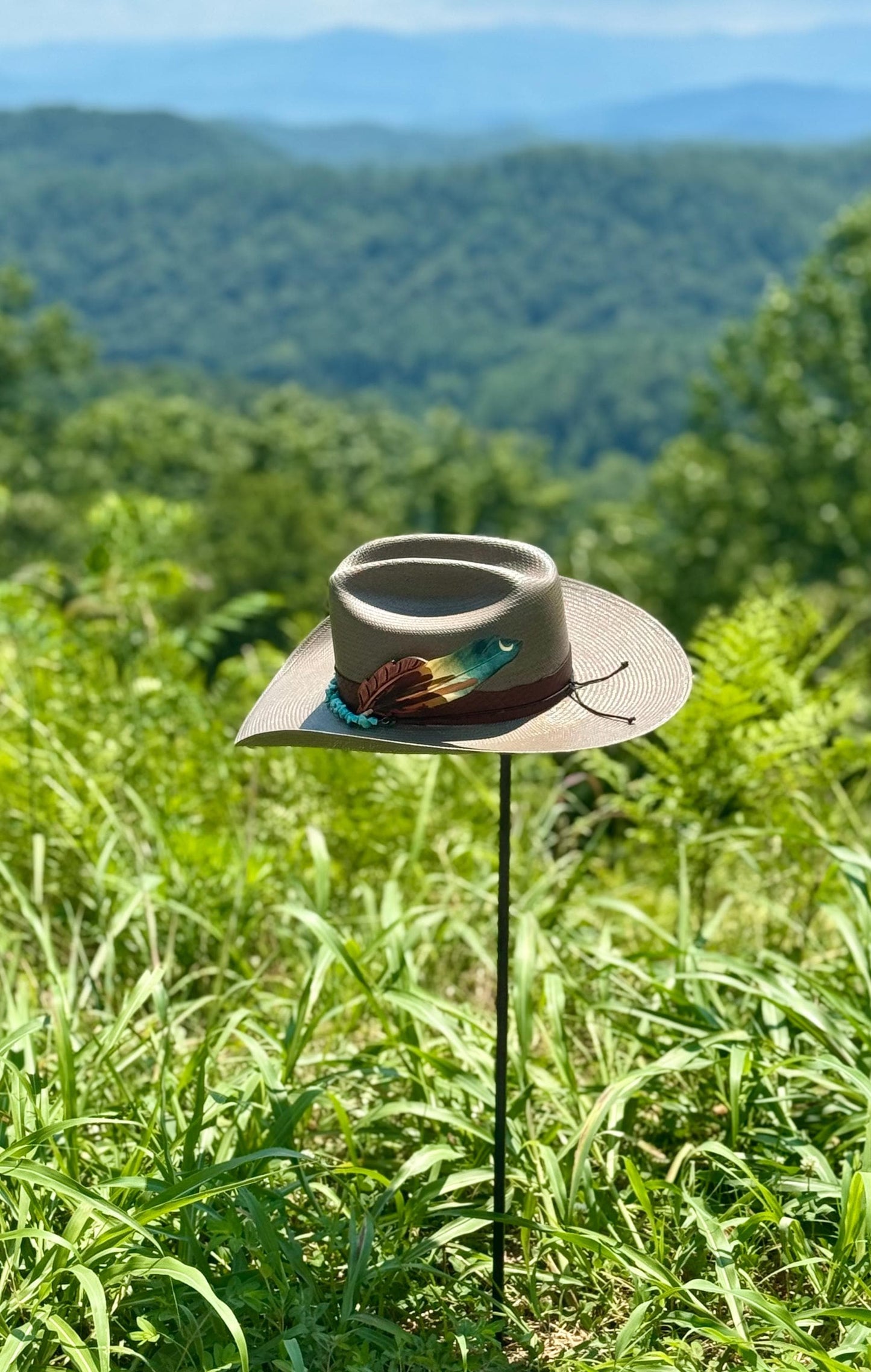 Moonlight Cactus Western Hat Feather
