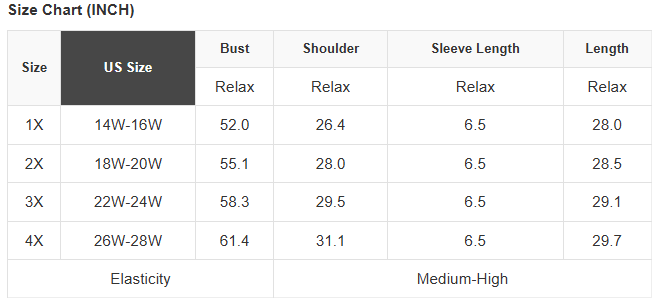 Plus Size Mineral Wash Raw Edge V-Neck Tee