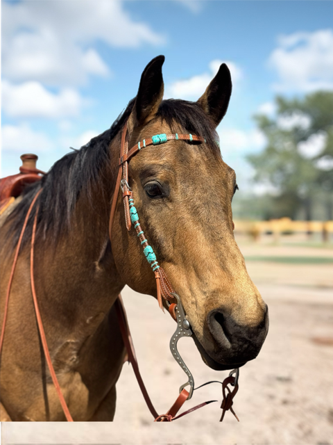 Colorado Gold 5/8" Skirting Reins