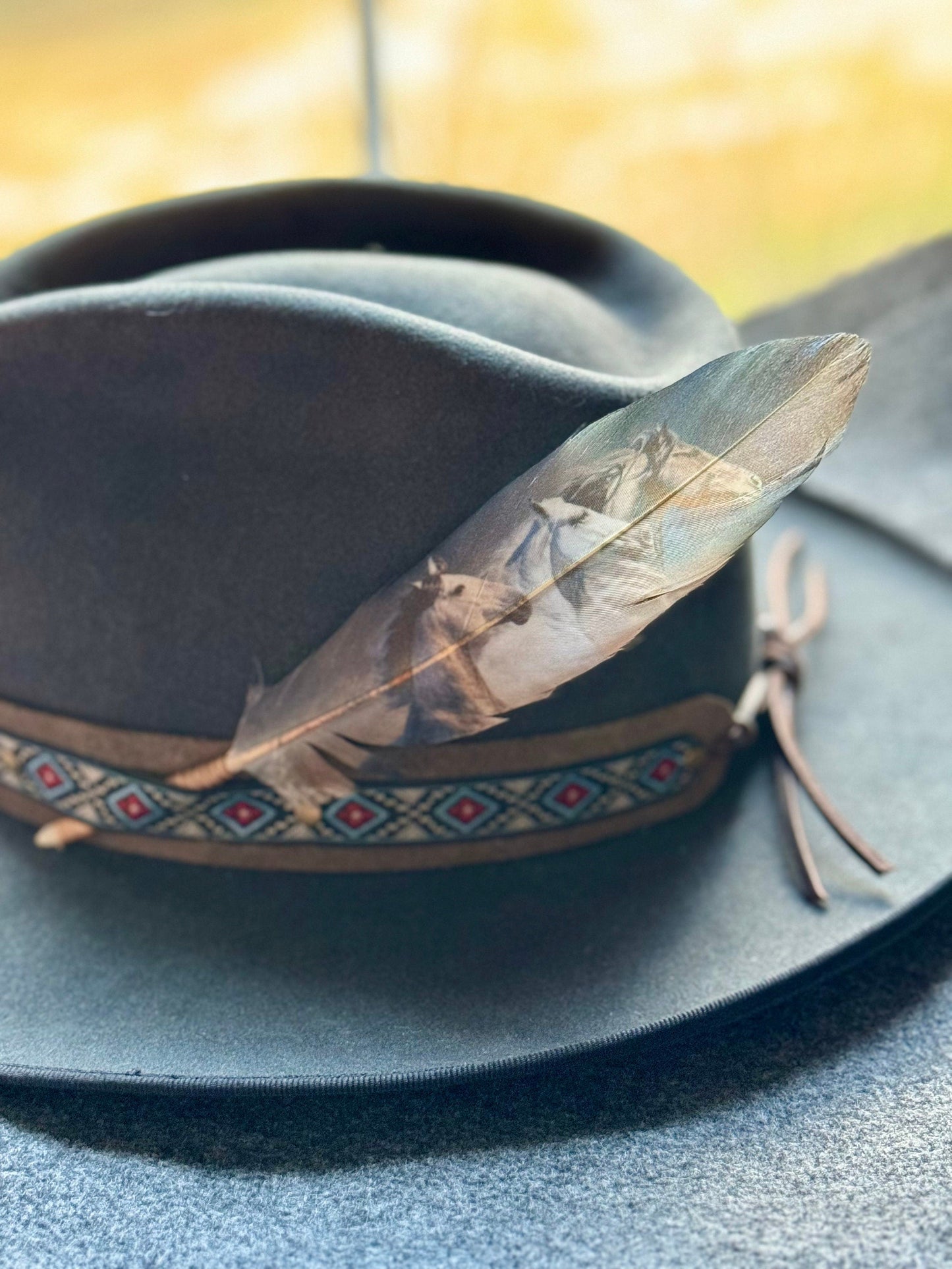 Dark Wild Horses Western Hat Feather