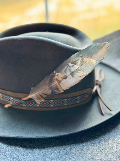 Dark Wild Horses Western Hat Feather