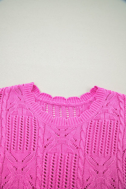 Pointelle Knit Scallop Trim Short Sleeve Sweater