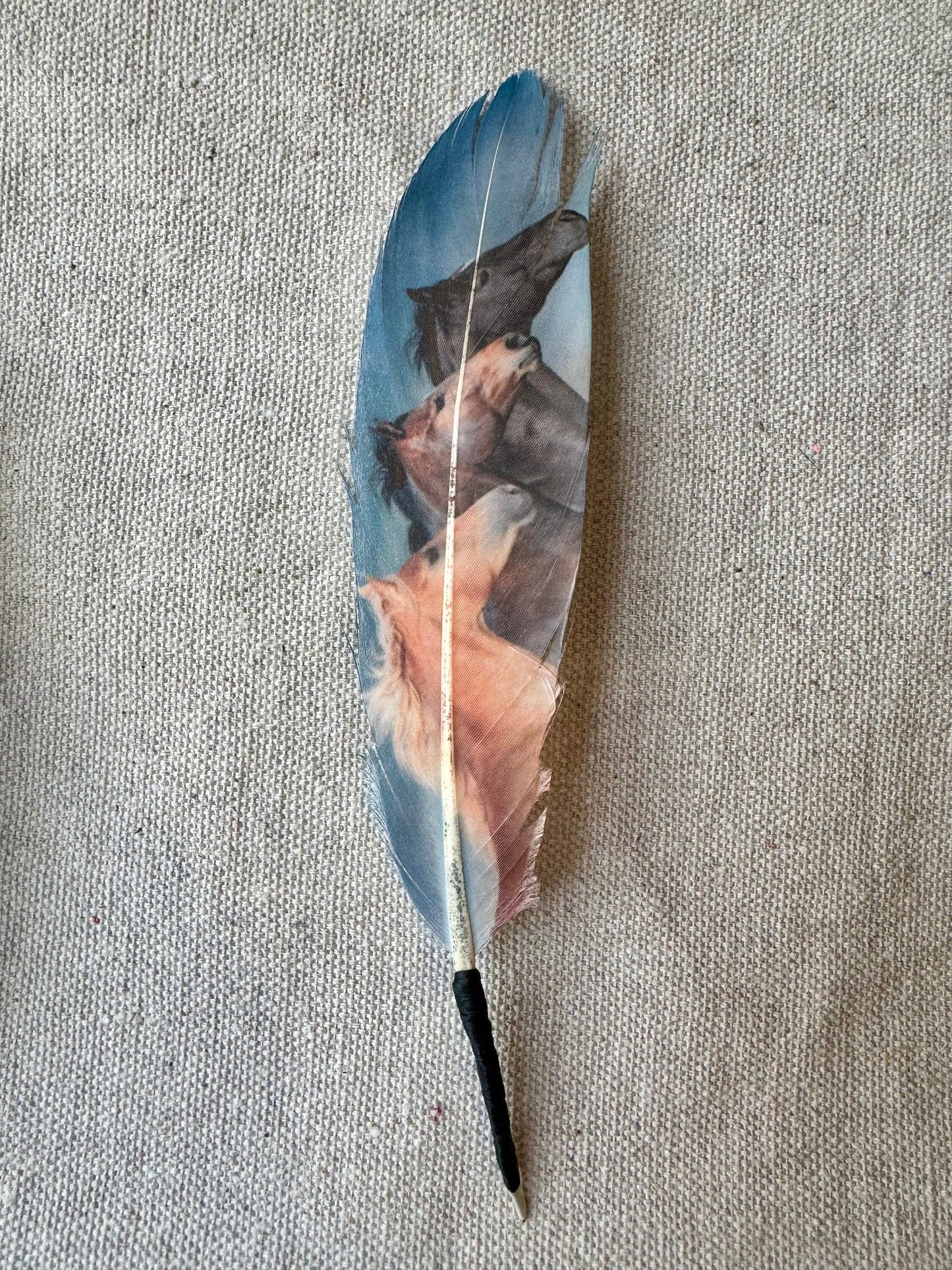 Blue Wild Horses Western Hat Feather