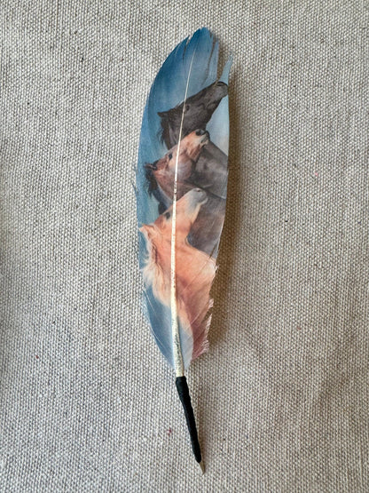 Blue Wild Horses Western Hat Feather