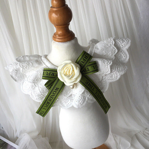 6ab8b2359c12311535453d42033d105c