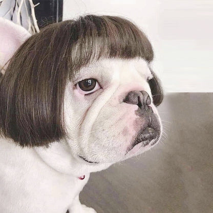 a10b55921e6a9c820dcb8edcb52f2e2d