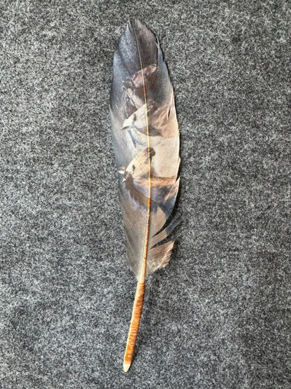 Dark Wild Horses Western Hat Feather