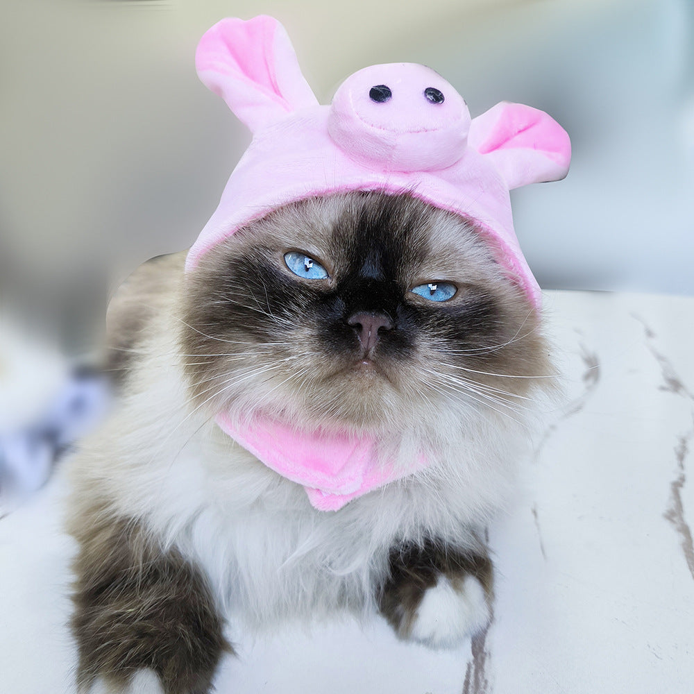 37cc8fa2559c36596cb1b9691a3bc4ac