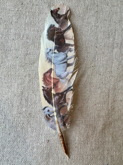 Cream Wild Horses Hat Feather