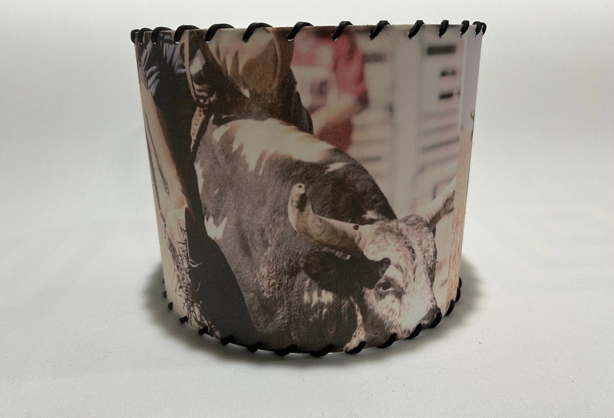 Buckin Bull Lampshade Chute 1