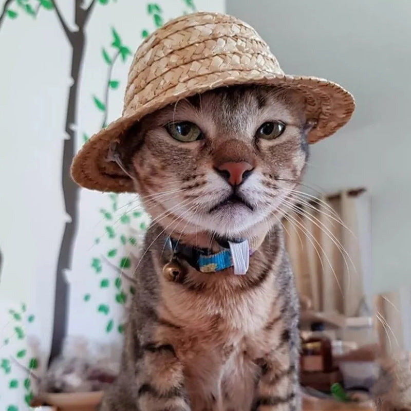 6de79c0610be556ff7a98585ec31dcca