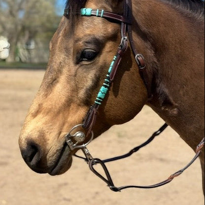 Concha Ring Snaffle