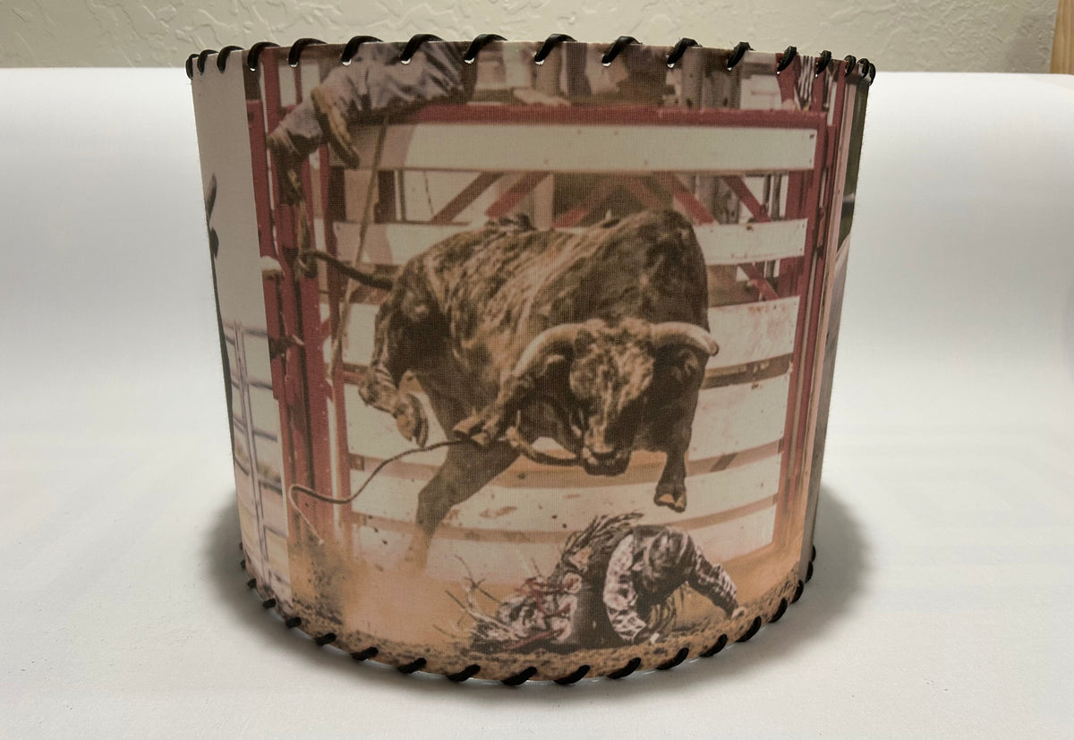 Buckin Bull Lampshade Chute 2