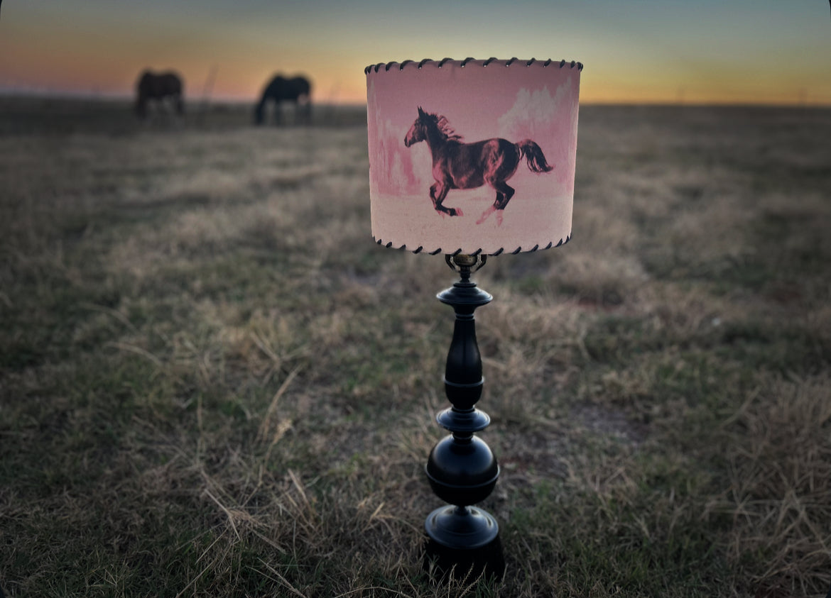 Wild Horse Orange Sherbet Lampshade