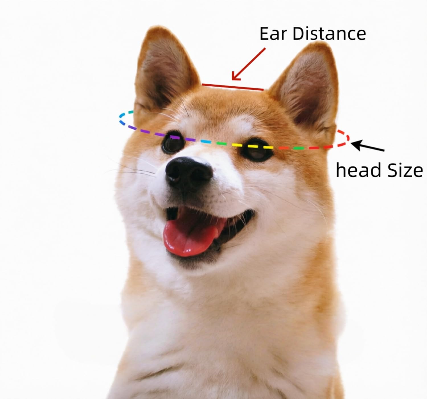 6e45357335415e4b4af93dd7de9595b7