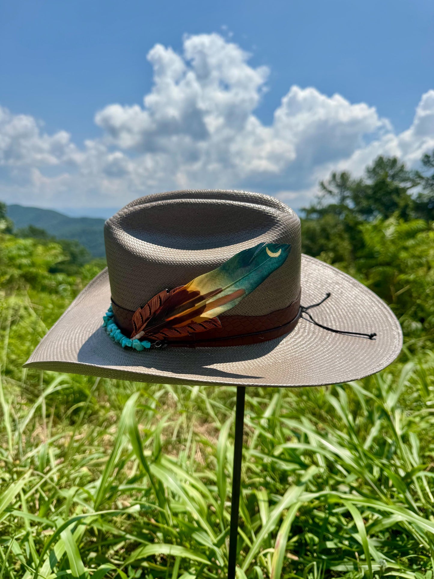 Moonlight Cactus Western Hat Feather
