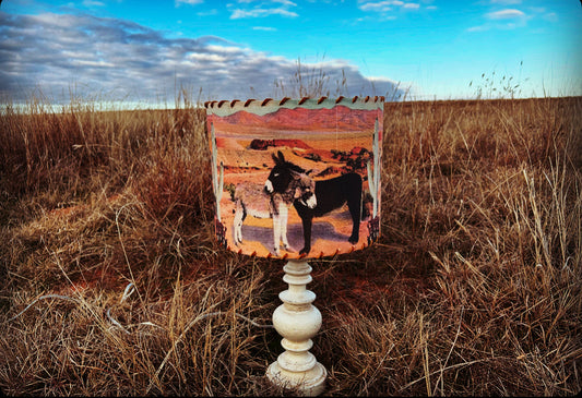 Two Burros Lampshade 14-inch Large
