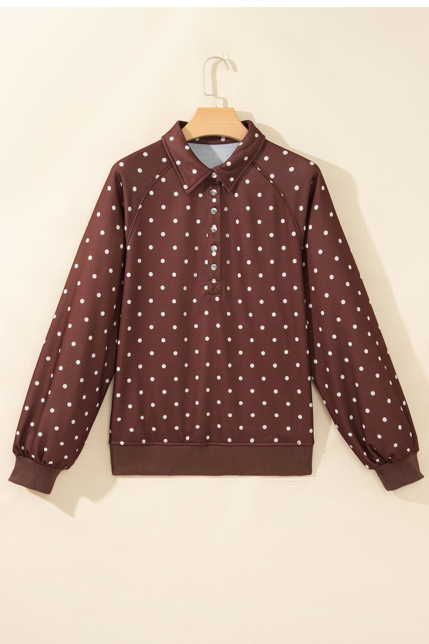 Polka Dot Metal Button Collar Pullover Sweatshirt