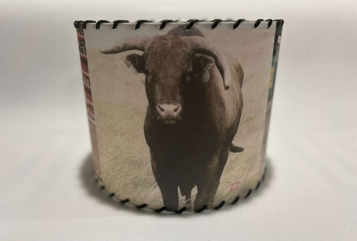 Buckin Bull Lampshade Chute 3
