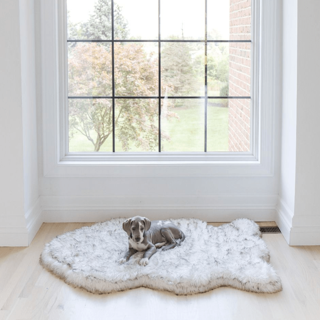 PupRug by Paw.com® Faux Fur Orthopedic Dog Bed - Curve White with Brown Accents