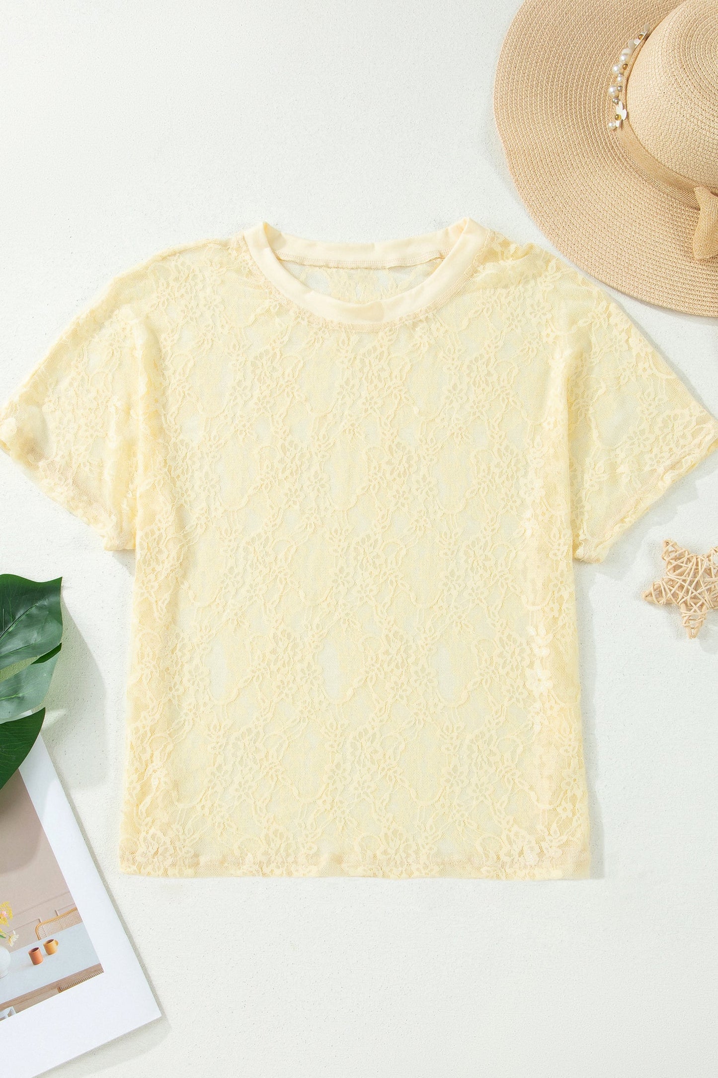Solid Sheer Lace Short Sleeve Boxy Tee
