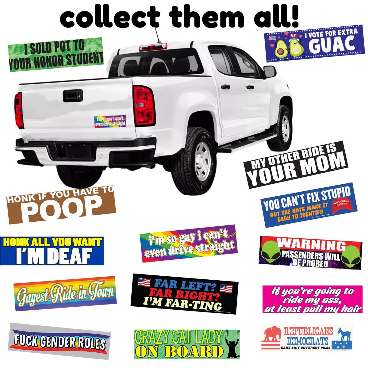 "Embrace Diversity" 🐶🐕😹 Funny Animal Bumper Car Fridge Magnet | Made in USA