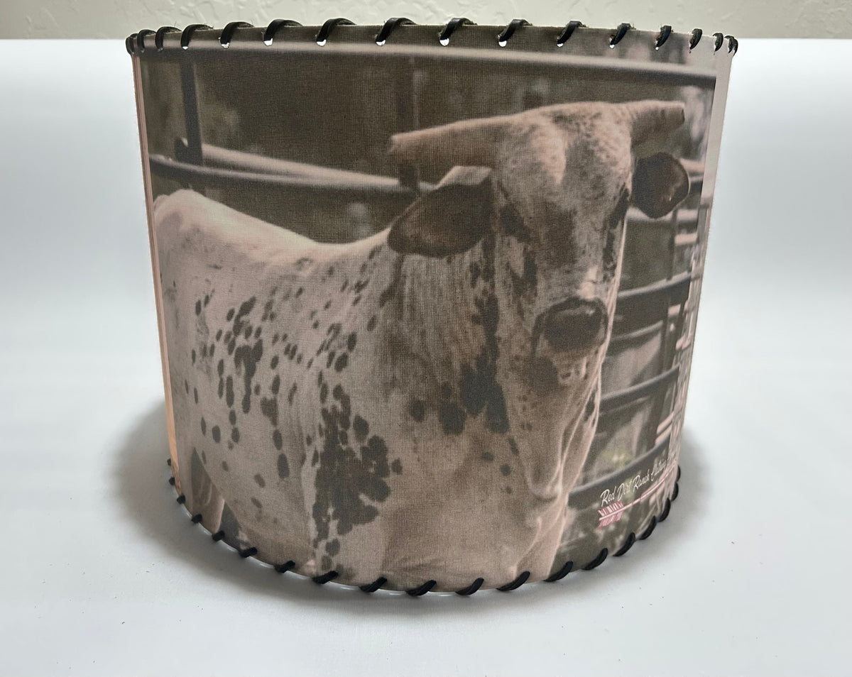 Buckin Bull Lampshade Chute 2
