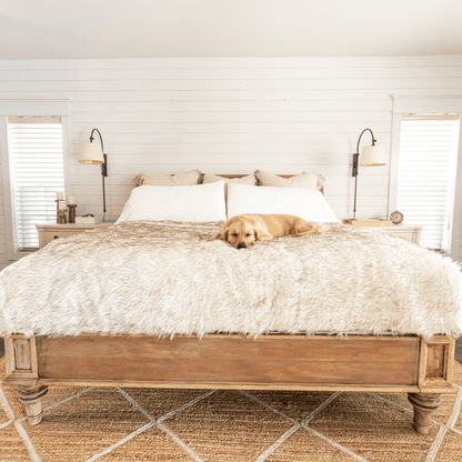 PupProtector™ Waterproof Throw Blanket - White with Brown Accents
