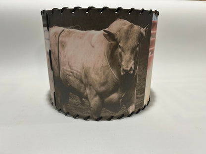 Buckin Bull Lampshade Chute 3