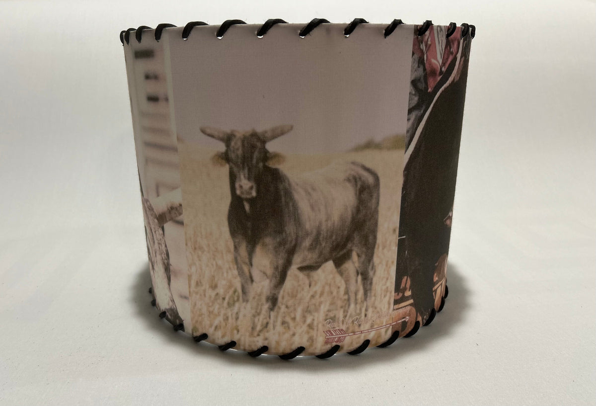 Buckin Bull Lampshade Chute 1