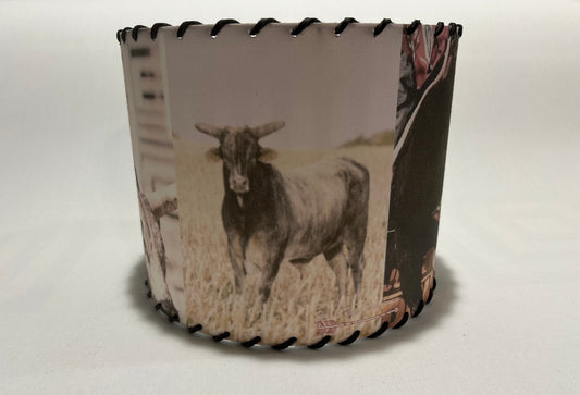 Buckin Bull Lampshade Chute 1
