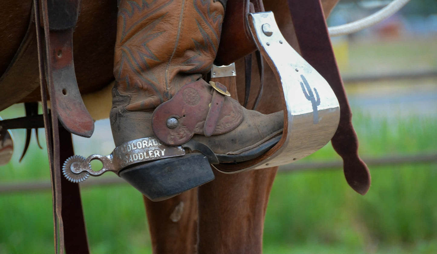 Colorado Saddlery Special Spurs