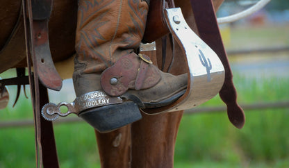 Colorado Saddlery Special Spurs
