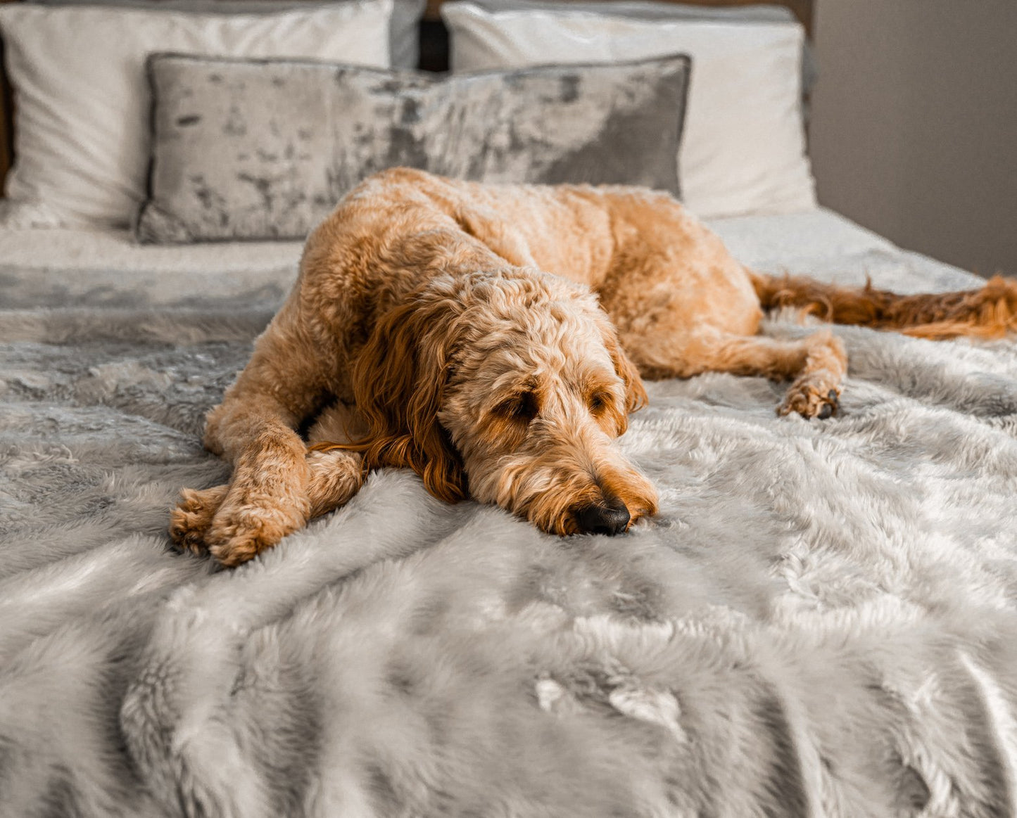 PupProtector™ Summer Short Fur Waterproof Throw Blanket - Grey