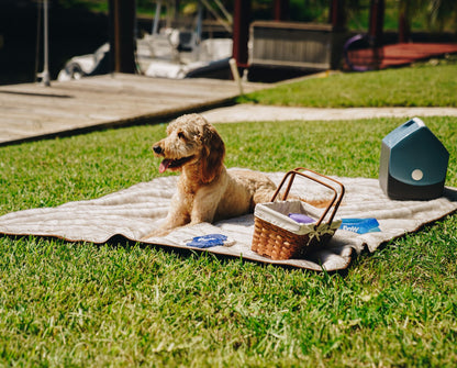 PupProtector™ Summer Short Fur Waterproof Throw Blanket - White with Brown Accents