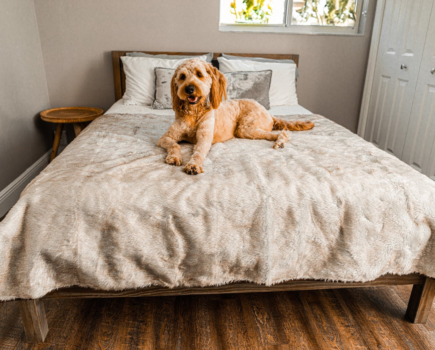 PupProtector™ Summer Short Fur Waterproof Throw Blanket - White with Brown Accents