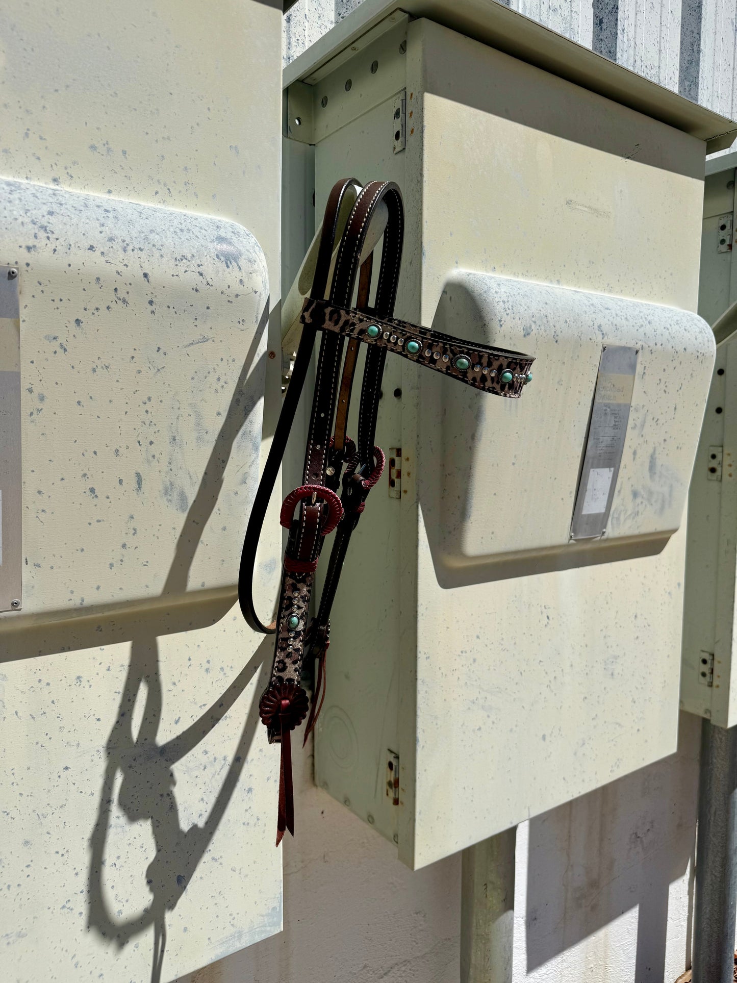 2800- Cheetah 1-1/2" Contour browband headstall