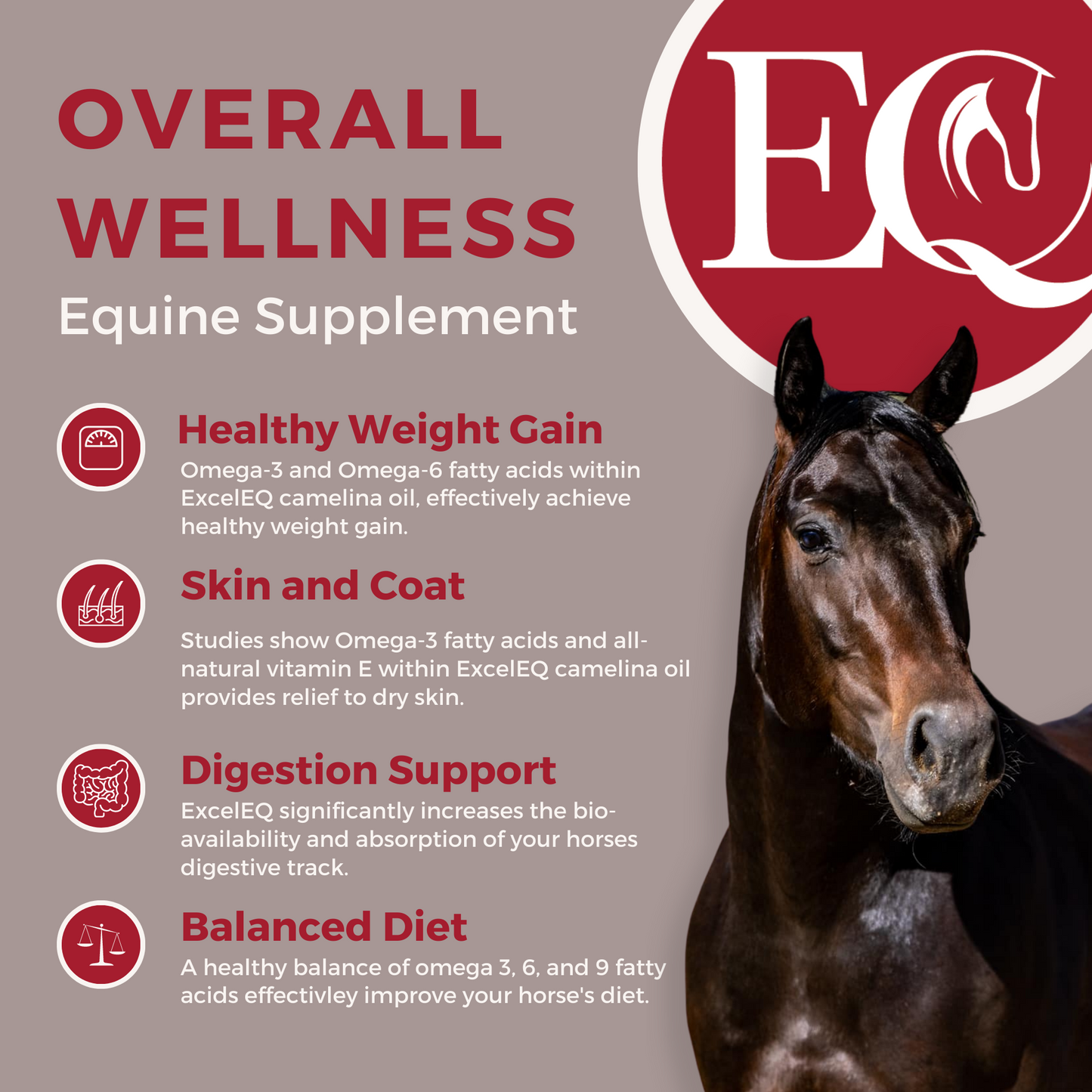 ExcelEQ Equine Wellness Supplement