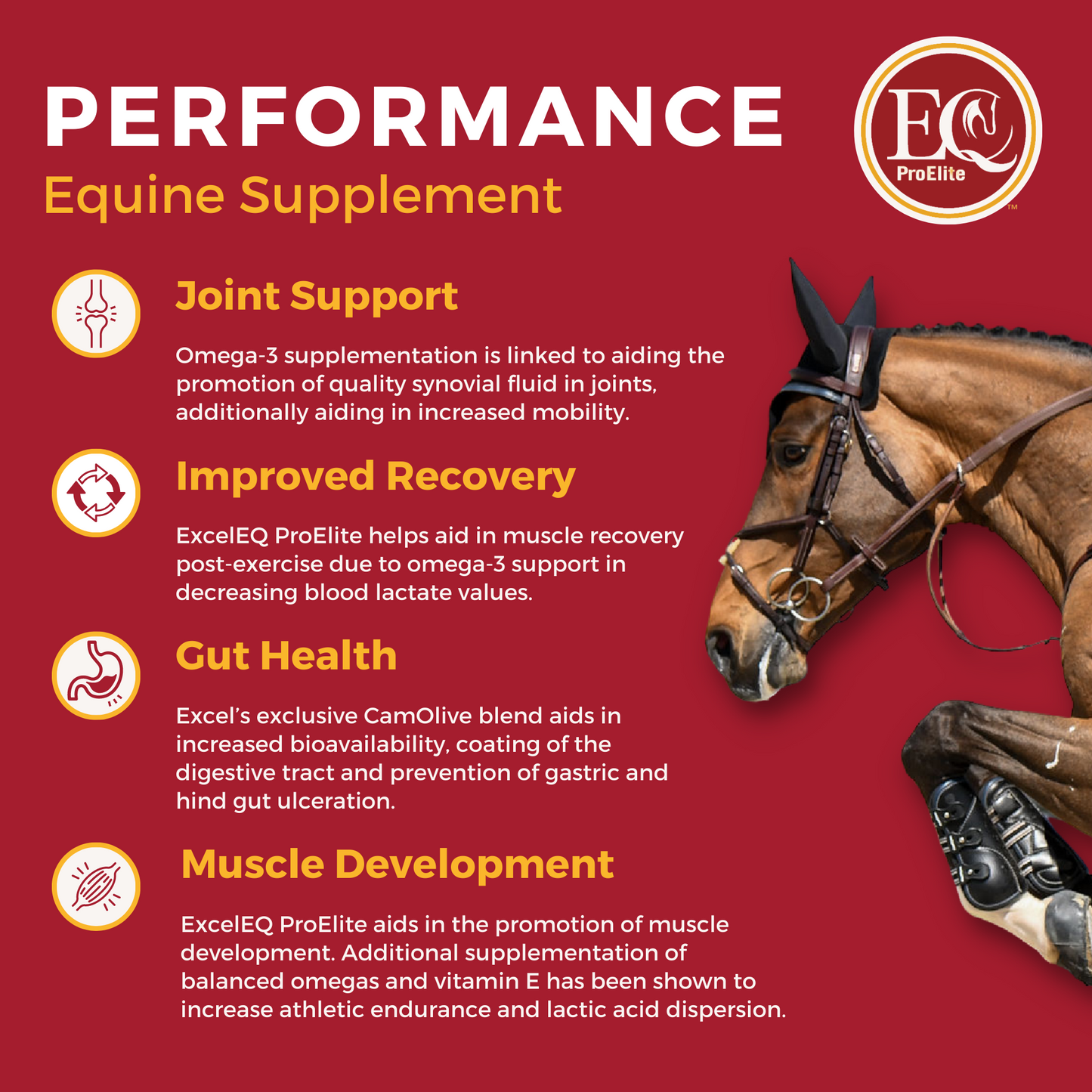 ExcelEQ ProElite Equine Performance Supplement