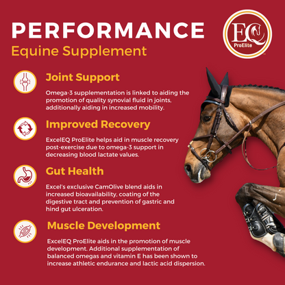 ExcelEQ ProElite Equine Performance Supplement