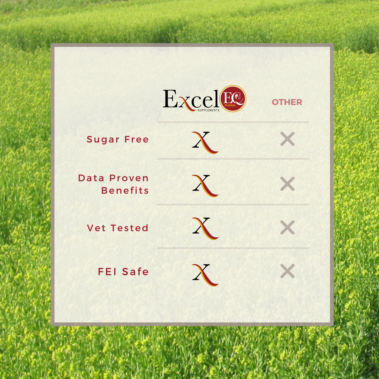 ExcelEQ ProElite Equine Performance Supplement