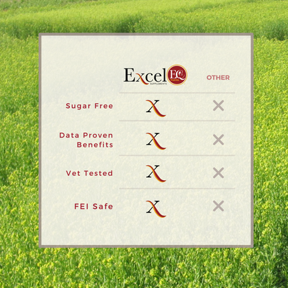 ExcelEQ ProElite Equine Performance Supplement