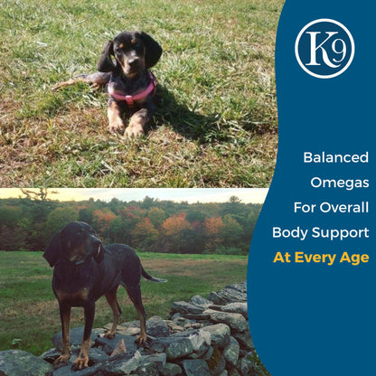 ExcelK9™ - Natural Joint Support for Dogs