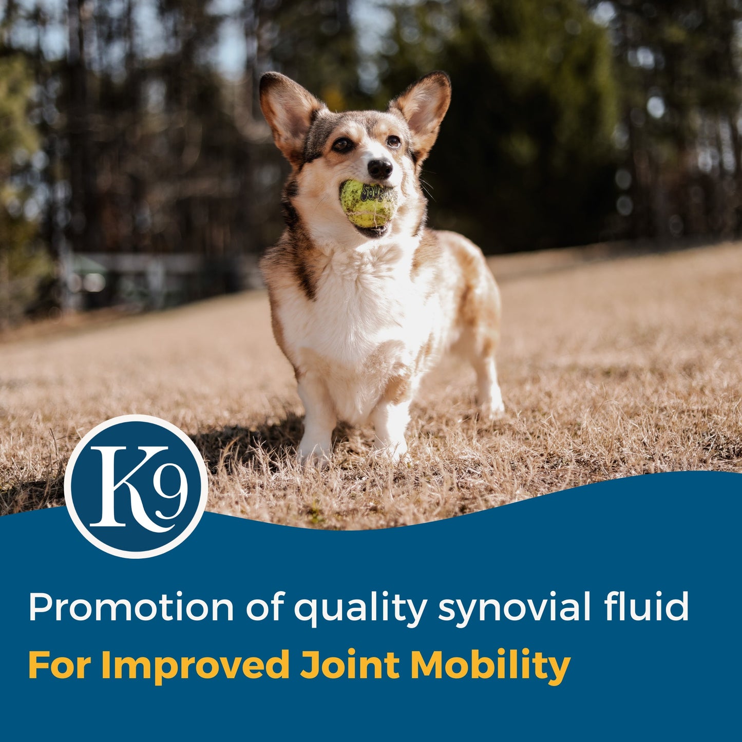 ExcelK9™ - Natural Joint Support for Dogs
