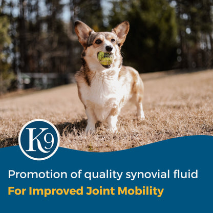 ExcelK9™ - Natural Joint Support for Dogs