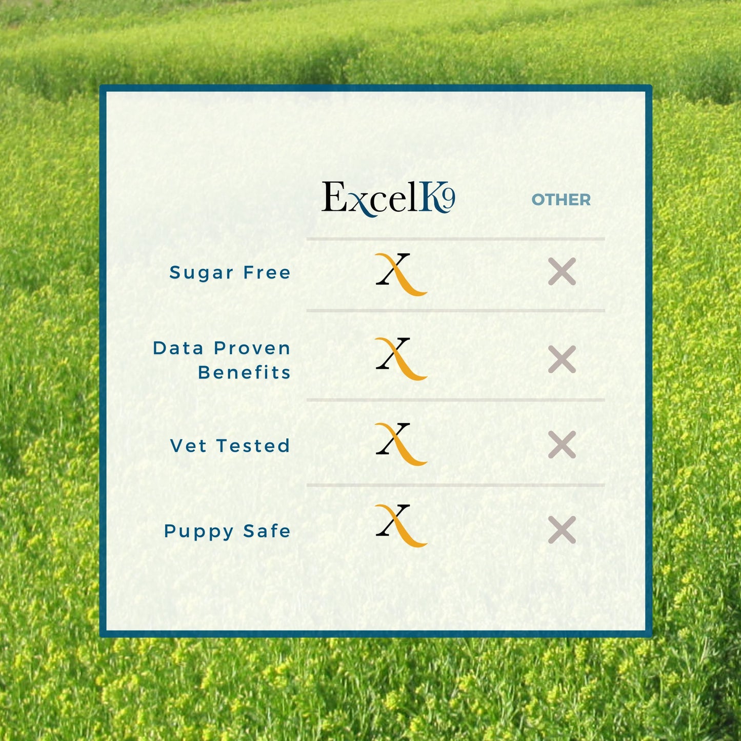 ExcelK9™ - Natural Joint Support for Dogs