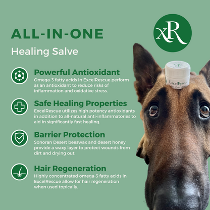 Dog Parent Savings Bundle