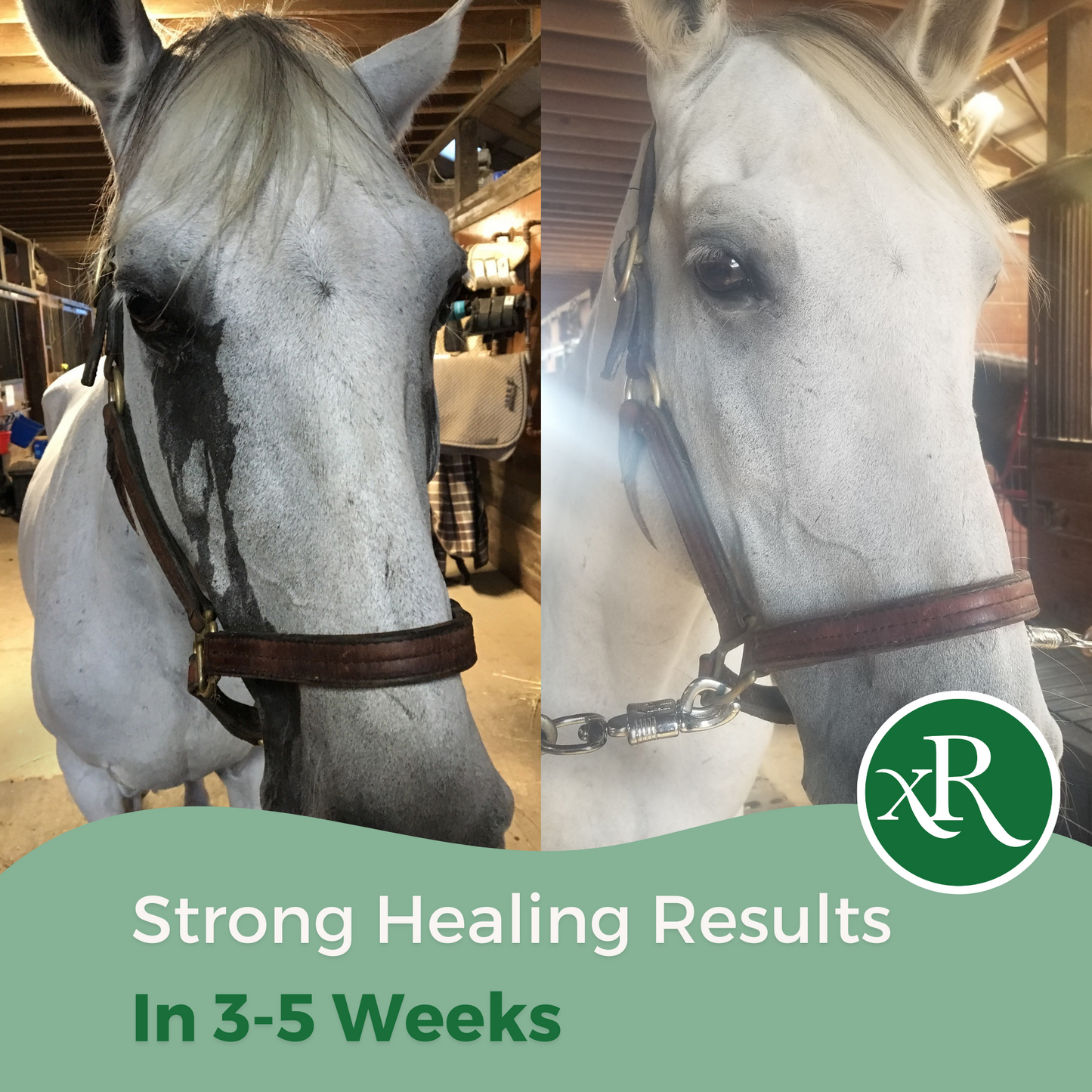 ExcelRescue Mini Healing Balm