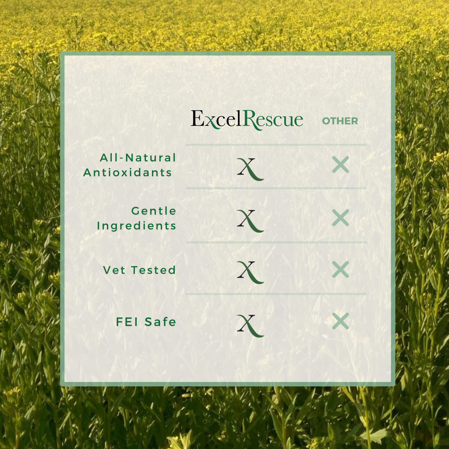 ExcelRescue Healing Wound Salve (Safe for all animal & human use.)